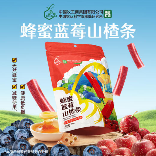 新品 | 蜂蜜蓝莓山楂条 208g/袋 软糯酸甜 解馋零食 商品图1