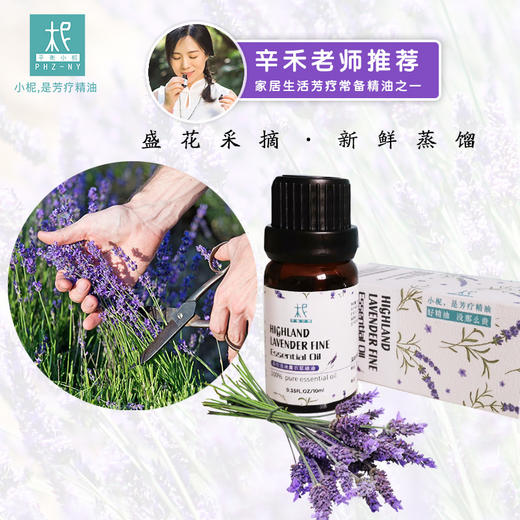 法国 【高地薰衣草】精油 单方纯精油 睡眠 舒压 扩香/熏香/调油 商品图3