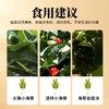 有机幼嫩小海带(罐装) 60g*2罐  厂家直发全国包邮配送（偏远地区除外） 商品缩略图13