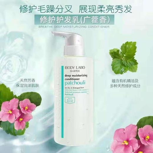  体·研究所everyBODY LABO  广藿香修护护发乳500ml 商品图0