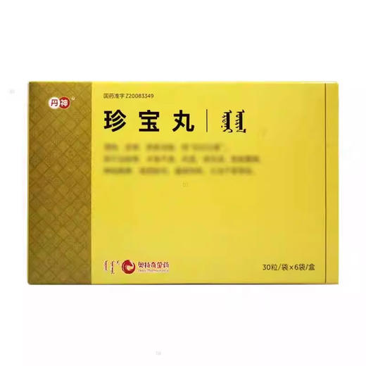 丹神 珍宝丸(额日敦-乌日勒) 30粒*6袋/盒(每10粒重1g) 商品图0