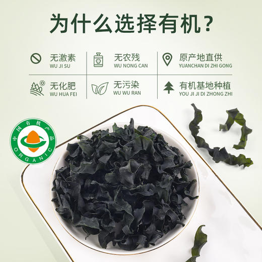 有机幼嫩小海带(罐装) 60g*2罐  厂家直发全国包邮配送（偏远地区除外） 商品图6
