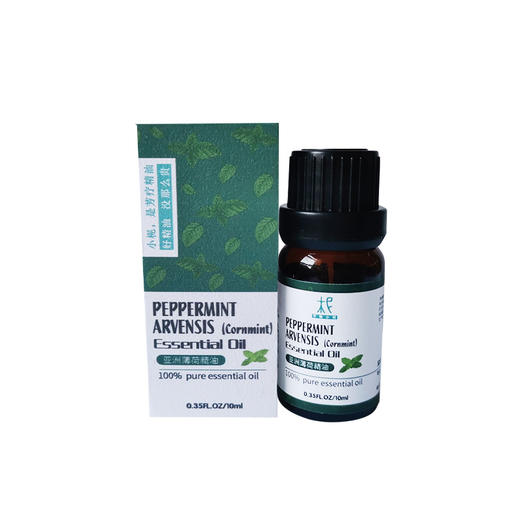 印度【 亚洲薄荷】精油 单方纯精油 清凉舒爽 闻嗅/扩香/调油 商品图4