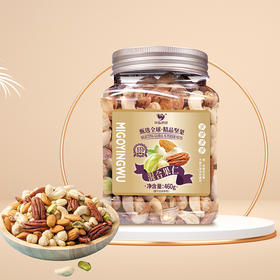 咪go鹦鹉 混合果仁460g