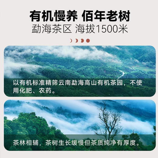 无墨记鲲鹏勐海有机老树茶普洱茶熟茶399g 商品图1