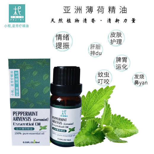 印度【 亚洲薄荷】精油 单方纯精油 清凉舒爽 闻嗅/扩香/调油 商品图3
