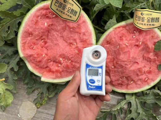 麒麟西瓜 夏天必备 酥脆甜 商品图13