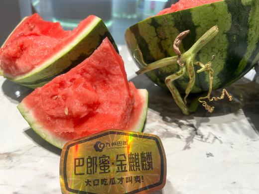 麒麟西瓜 夏天必备 酥脆甜 商品图9