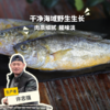 野生东山岛黄花鱼| 合作生产 * Wild yellow croaker | Coproduction 商品缩略图0