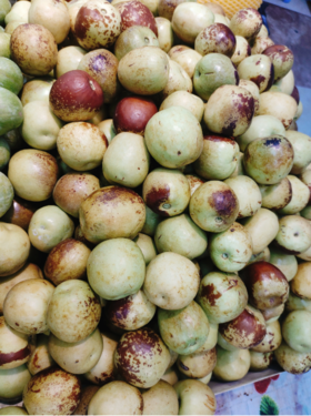 果王冰糖脆枣一斤