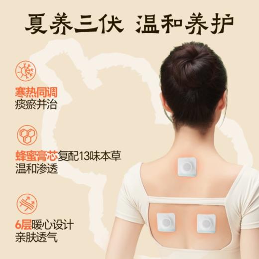 【三伏贴来啦~】蔡氏福宁三伏贴 温灸肚脐贴 夏季调理膏贴 亲肤透气 商品图1