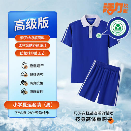 【高级版】小学  深圳中学梅香学校小学夏运秋运冬运 商品图3