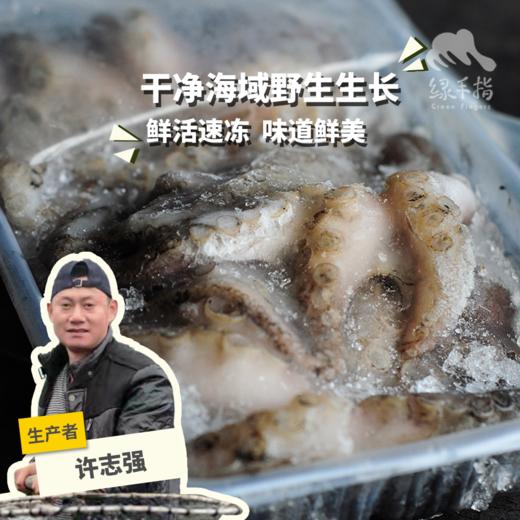 野生活冻小章鱼  | 合作生产 * Wild Dongshan Island seafood | Coproduction 商品图0