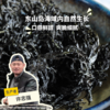生态头水紫菜 | 合作生产*Eco TouShui laver | Coproduction 商品缩略图0