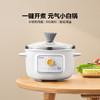 【专柜-北鼎】北鼎ZG31/电煮锅多功能锅电炖锅 雪地白1L 商品缩略图0