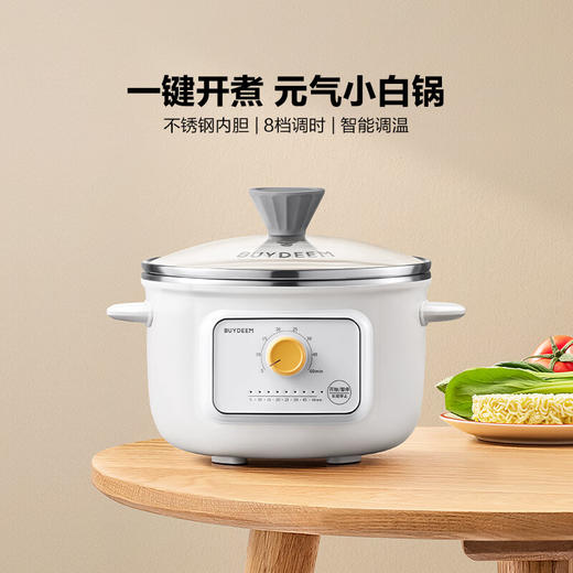 【专柜-北鼎】北鼎ZG31/电煮锅多功能锅电炖锅 雪地白1L 商品图0