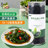 有机幼嫩小海带(罐装) 60g*2罐  厂家直发全国包邮配送（偏远地区除外） 商品缩略图2