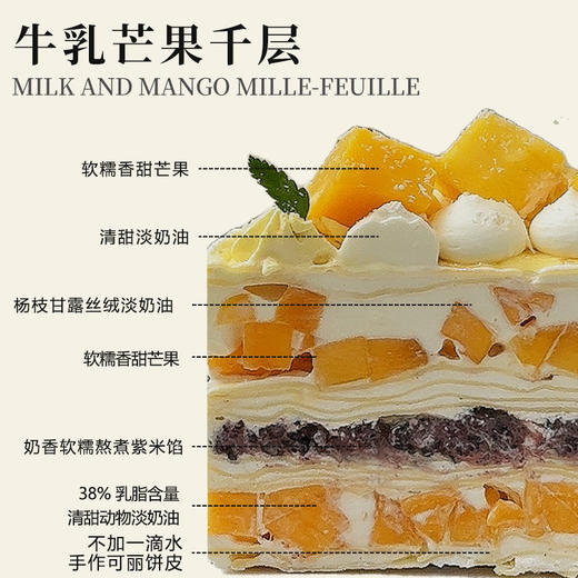 牛乳芒果千层（  高度8cm）（所有绿植均不可食用！） 商品图2