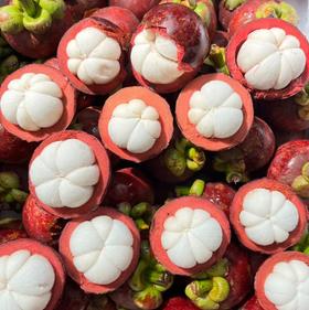 泰国麻竹山竹 7个/份（ 450g左右）