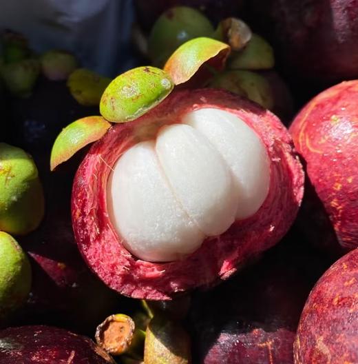 泰国麻竹山竹 7个/份（ 450g左右） 商品图1