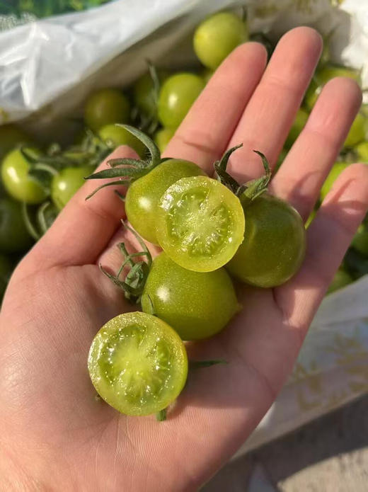 青番茄🍅圆润饱满，不酸不甜腻，热量低水份足💦，减脂也能吃到爽 商品图6