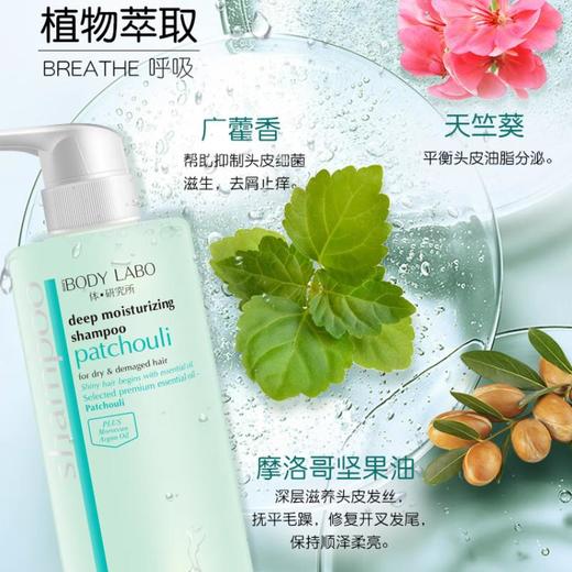 体·研究所everyBODY LABO 广藿香修护洗发露 500ml 商品图1