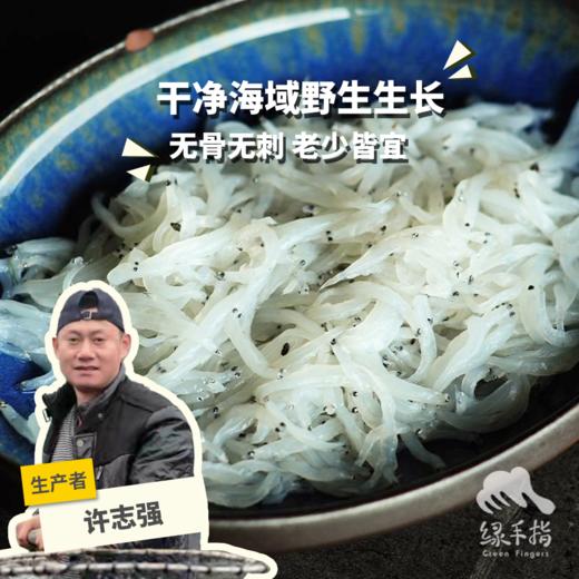 野生东山岛小银鱼| 合作生产 * Wild Dongshan Island seafood | Coproduction 商品图0