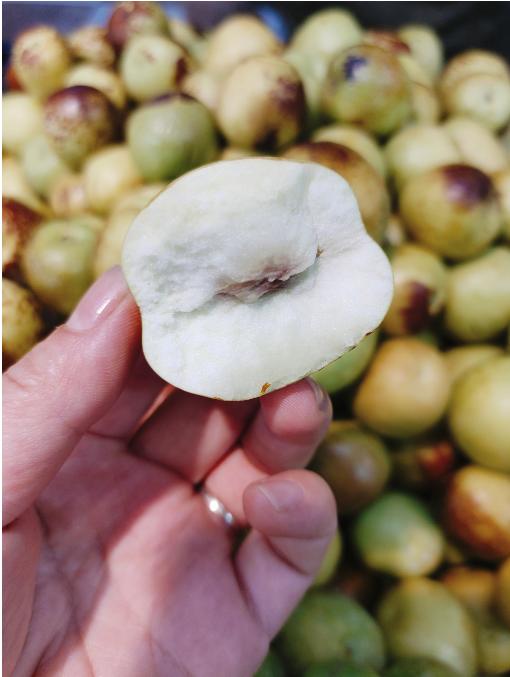 果王冰糖脆枣一斤 商品图1