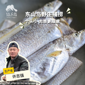 野生东山岛黄金带鱼段| 合作生产 * Wild hairtail | Coproduction