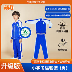 【升级版】小学 深圳中学梅香学校夏运秋运冬运