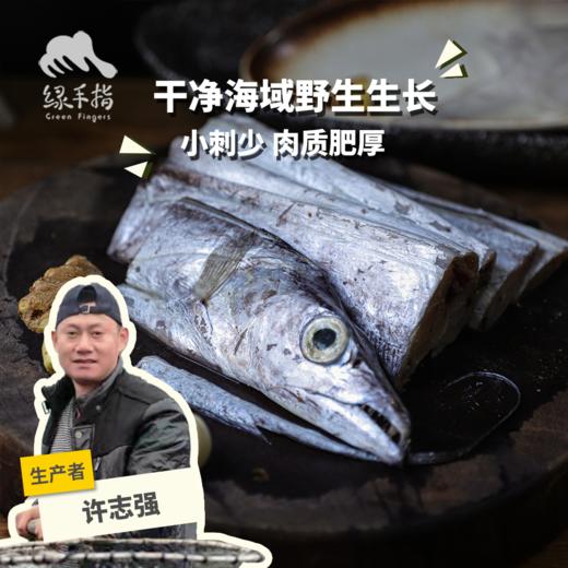 野生东山岛海钓带鱼 | 合作生产*Wild hairtail | Coprodution 商品图0