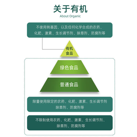 有机幼嫩小海带(罐装) 60g*2罐  厂家直发全国包邮配送（偏远地区除外） 商品图8