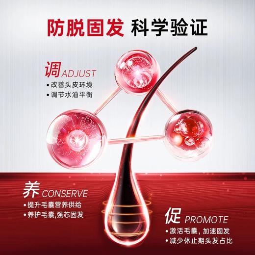 H卡蓓诺育发洗发水（加强型）350ml【宝库优选】 商品图2