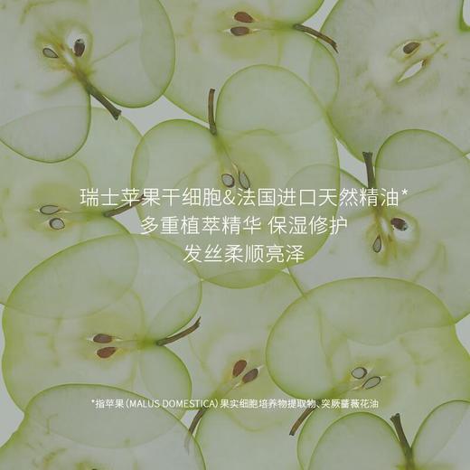 体研究所Olfaction N' 香水洗发露柔顺水润滋养洗发水 285ml/瓶 商品图4