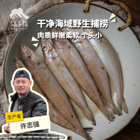 野生东山岛山尖鱼（沙尖鱼）| 合作生产 * Wild Silver sillago | Coproduction