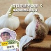 生态山东大蒜（干） | 合作生产*Ecological fresh garlic | Coproduction 商品缩略图0