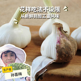 生态山东大蒜（干） | 合作生产*Ecological fresh garlic | Coproduction
