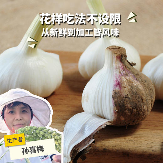 生态山东大蒜（干） | 合作生产*Ecological fresh garlic | Coproduction 商品图0