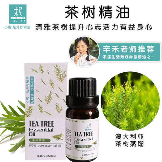 澳洲【茶树】精油 单方纯精油 扩香/熏香/调油 商品图1