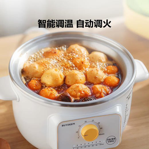 【专柜-北鼎】北鼎ZG31/电煮锅多功能锅电炖锅 雪地白1L 商品图4