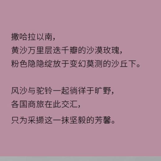 体研究所Olfaction N 沙漠玫瑰香氛护发膜200g 商品图4