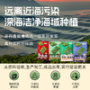 韩味多有机海苔12g*4盒（多口味可选） 厂家直发全国包邮配送（偏远地区除外） 商品缩略图2