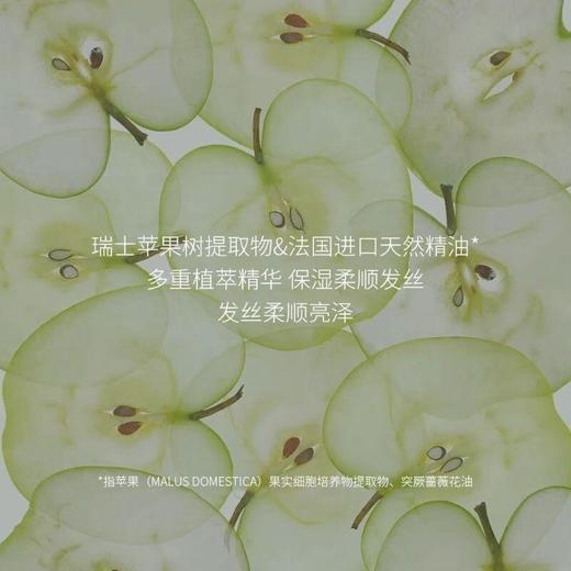 体研究所Olfaction N 沙漠玫瑰香氛护发膜200g 商品图2