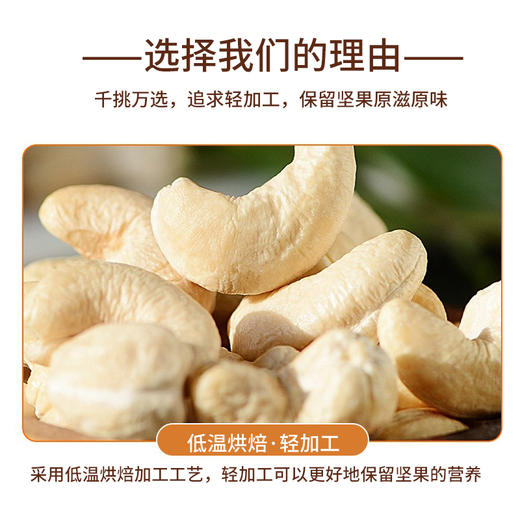 咪go鹦鹉 W320腰果仁480g 商品图3