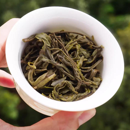 无墨记有机普洱茶224g 【熟茶/生茶】 商品图4