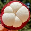 泰国麻竹山竹 7个/份（ 450g左右） 商品缩略图2