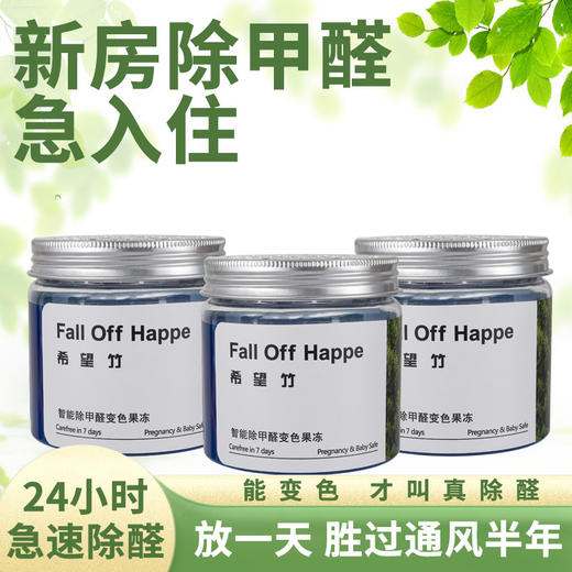 严选 除甲醛新房家用果冻强力型 200g 清除剂空气净化器新车去吸异味魔盒神器 商品图1