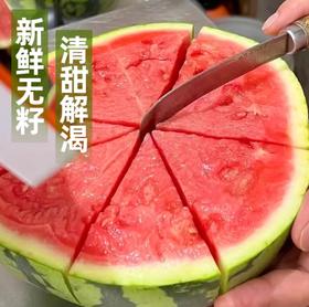 无子麒麟西瓜（约7~9斤/个）