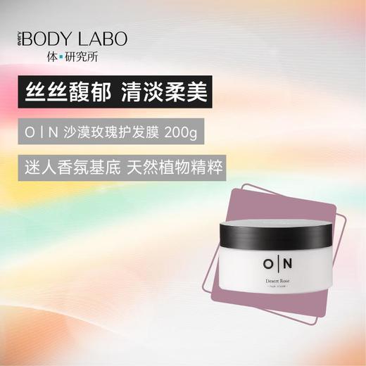 体研究所Olfaction N 沙漠玫瑰香氛护发膜200g 商品图0