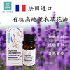 法国 【高地薰衣草】精油 单方纯精油 睡眠 舒压 扩香/熏香/调油 商品缩略图1